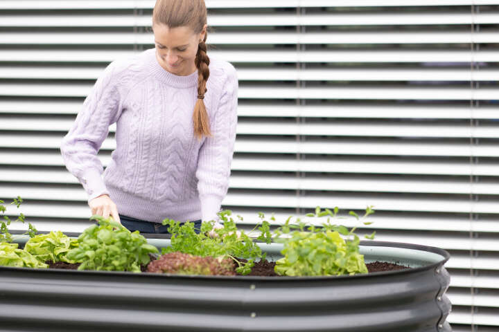 WESTMANN Hochbeet Grow Faster